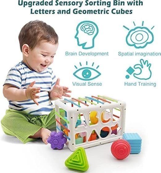 BIG SHAPE SORTING